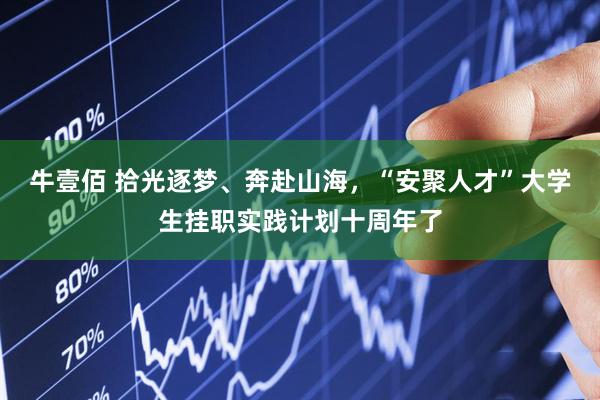 牛壹佰 拾光逐梦、奔赴山海，“安聚人才”大学生挂职实践计划十周年了