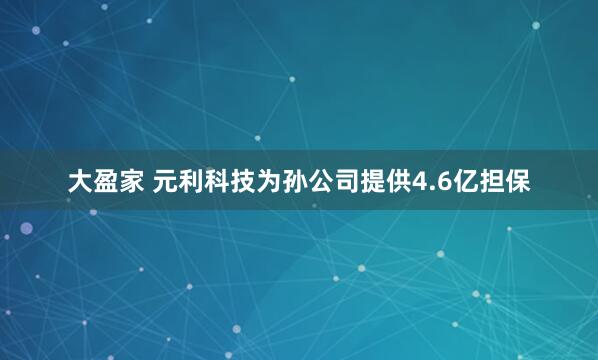 大盈家 元利科技为孙公司提供4.6亿担保