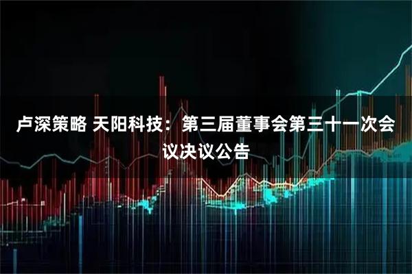 卢深策略 天阳科技：第三届董事会第三十一次会议决议公告